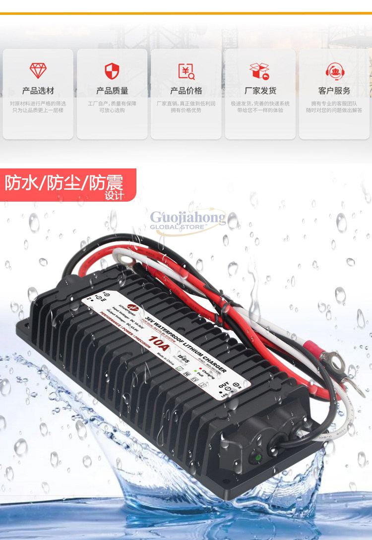 Lithiumbatterij aandrijfoplade - Lithium Battery 12V recensie en prijs